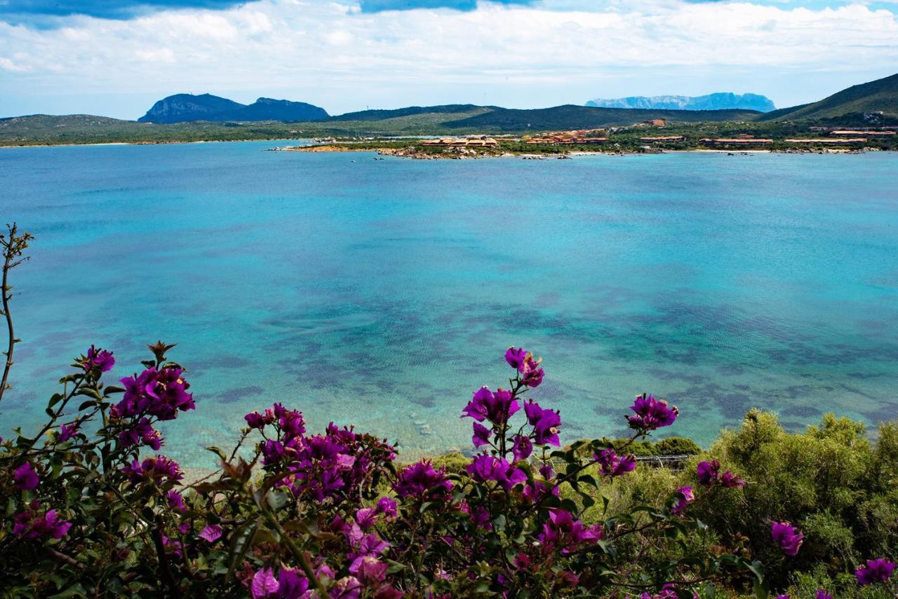 Casa Valery Wonderful Sea View Apartamento Porto Rotondo Exterior foto