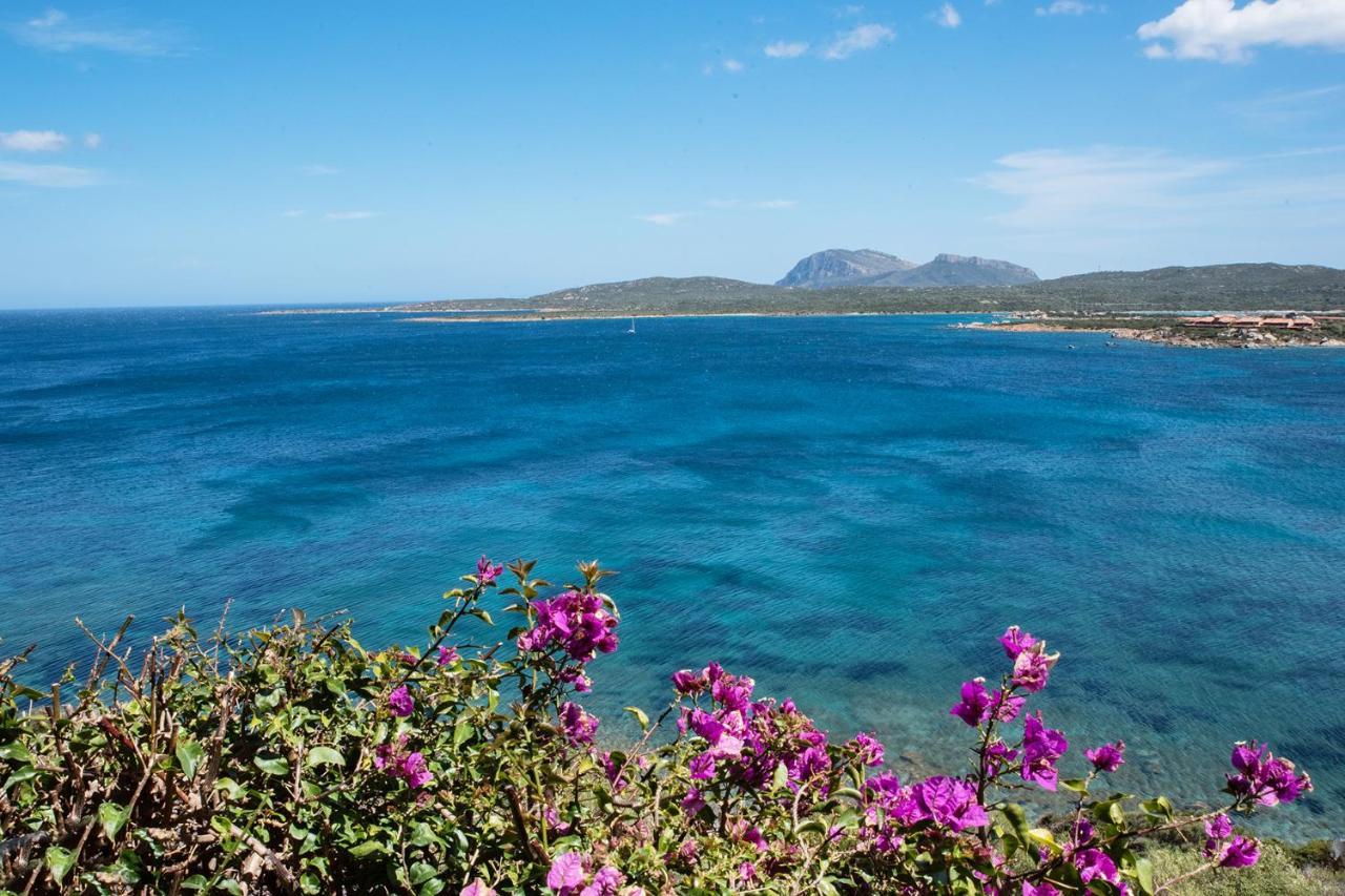 Casa Valery Wonderful Sea View Apartamento Porto Rotondo Exterior foto